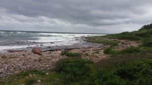 20170531_103042